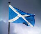 Bayrağı İskoçya, Birleşik Krallık ülke
